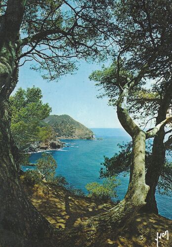 Le Brusc (Var) Paysage De La Côte Varoise