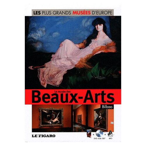 Musée Des Beaux-Arts De Bilbao - Maîtres Anciens Et Première Moitié Du Xxe Siècle (1dvd)