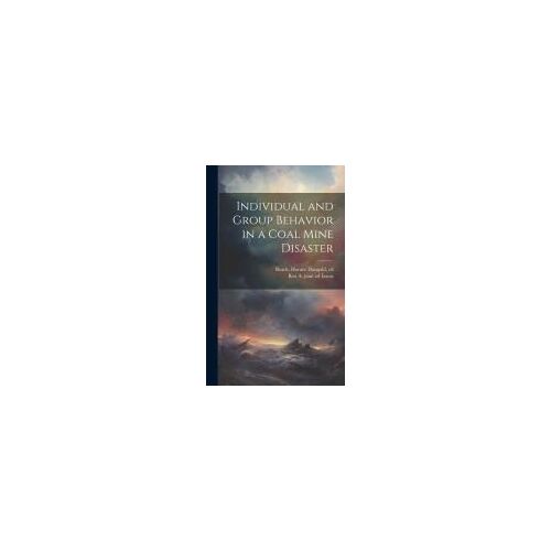 Individual And Group Behavior In A Coal Mine Disaster