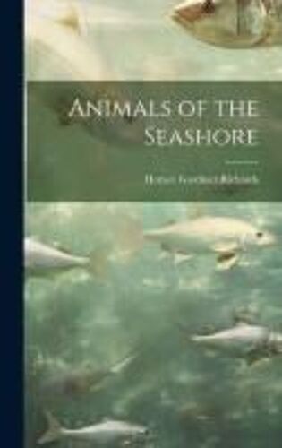 Animals Of The Seashore
