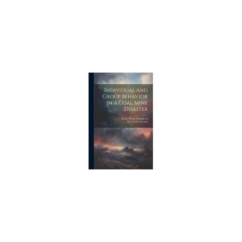Individual And Group Behavior In A Coal Mine Disaster