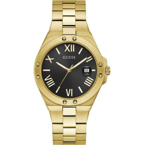 Montre Guess Gw0276g2 Homme