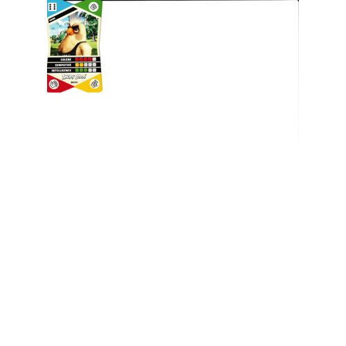 Cora Collector Angry Birds Hank 24/40
