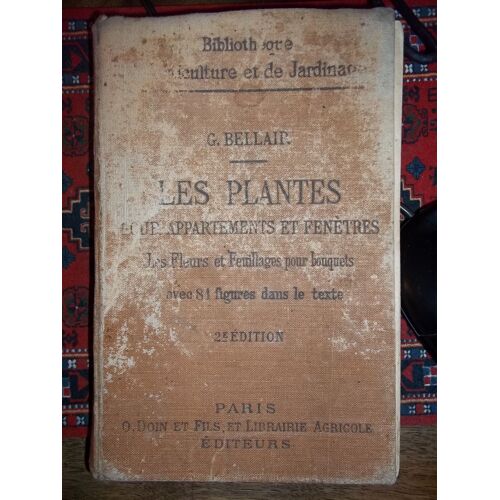 Les Plantes Pour Appartements Et Fenêtres
