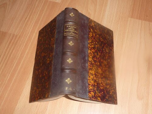 Histoire Des Prieures De Neuville-Les-Dames