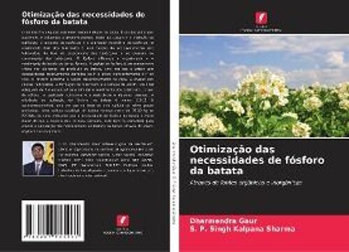 Otimização Das Necessidades De Fósforo Da Batata