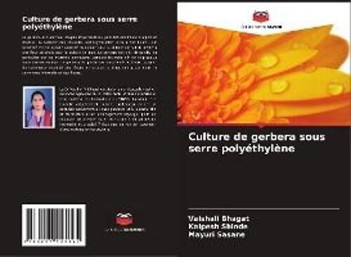 Culture De Gerbera Sous Serre Polyéthylène