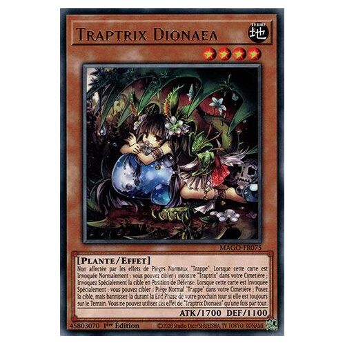 Traptrix Dionaea Sdbt-Fr006