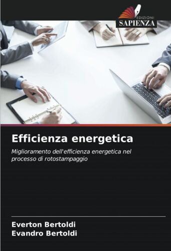 Efficienza Energetica