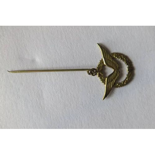 Insigne Militaire Ailes Dans Un Cercle