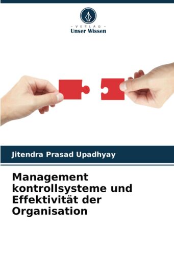 Management Kontrollsysteme Und Effektivität Der Organisation