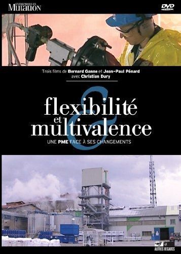 Flexibilité Et Multivalence. Le Cas De L'usine Prayon (Coffret De 2 Dvd)