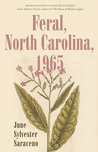 Feral, North Carolina, 1965