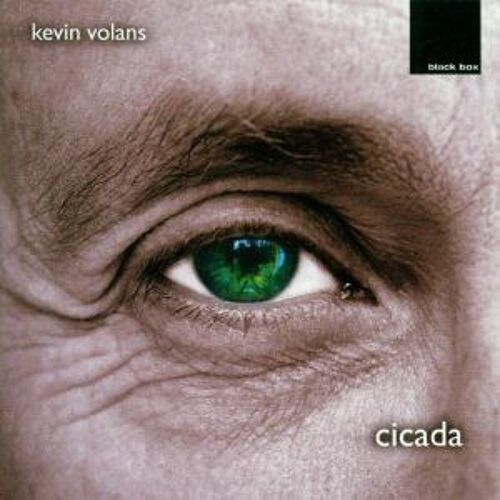 Cicada