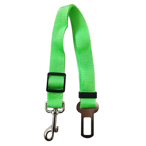 Laisse Étanche Pour Chien, Laisse En Plomb, Anti-Salissure, Facile À Nettoyer Pour Les Grands Et Petits Chiots, Produits Pour Animaux De Compagnie