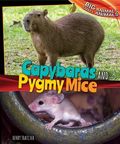Capybaras And Pygmy Mice (Big Animals, Small Animals)