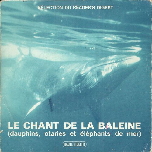 Le Chant De La Baleine : Megaptere Ou Baleine A Bosse / Le Dauphin - L'éléphant De Mer - L'otarie (17 Cm)