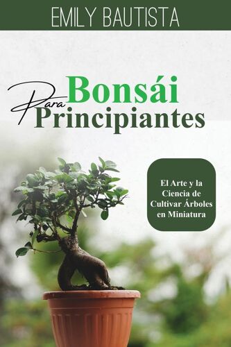 Bonsái Para Principiantes