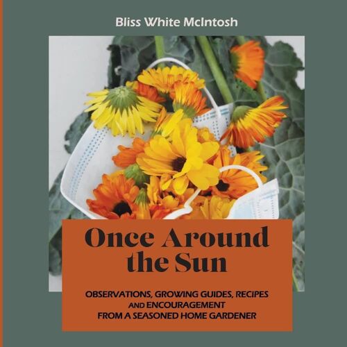 Once Around The Sun