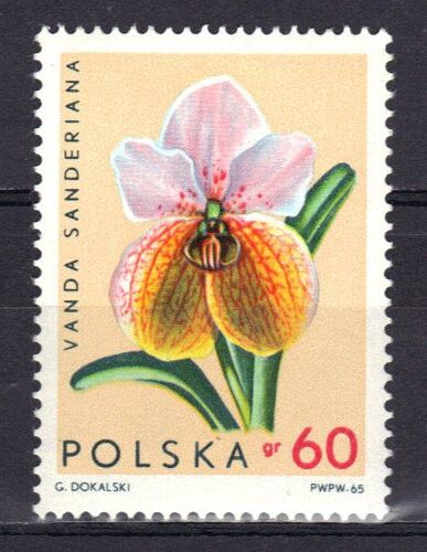 Pologne 1965 : Orchidée : Wanda Sanderiana - Timbre Neuf *
