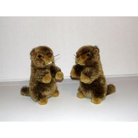 Anima Peluche Bébé Castor