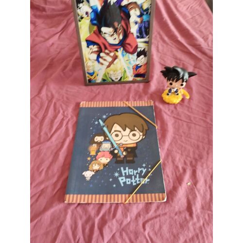 Chemise Cartonnée Harry Potter