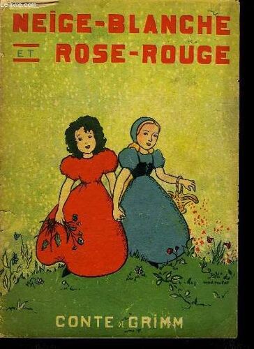 Neige Blanche Et Rose Rouge.