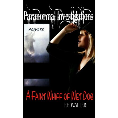 Paranormal Investigations 5