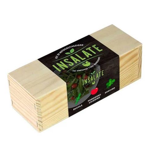 RESETEA, KIT AUTOCOLTIVAZIONE INSALATE, CASA, IDEE REGALO, CUCINA