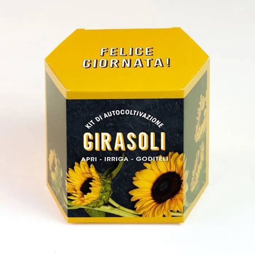 RESETEA, KIT AUTOCOLTIVAZIONE GIRASOLI, CASA, IDEE REGALO