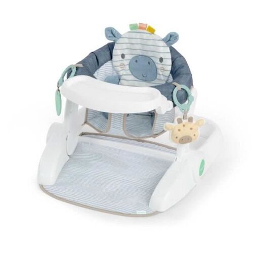 Ingenuity Siege D'apprentissage Prop Spot, 3 Positions De Siege, Tablette Et 2 Jouets, Casi Le Zebre