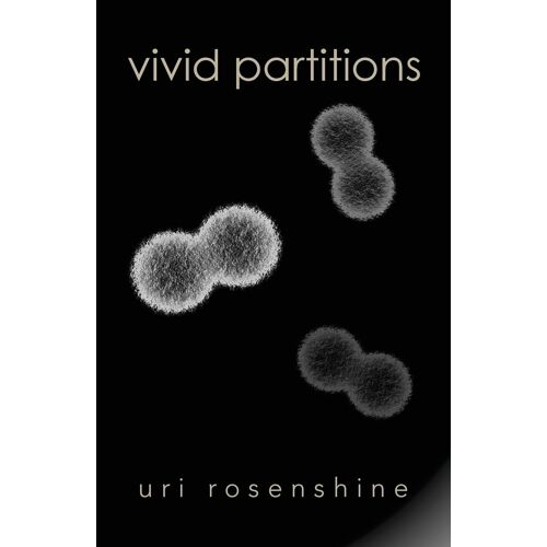 Vivid Partitions