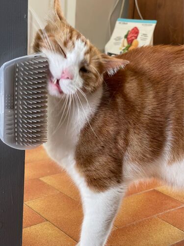 Grattoirs D'angle « Automatique » Pour Chat