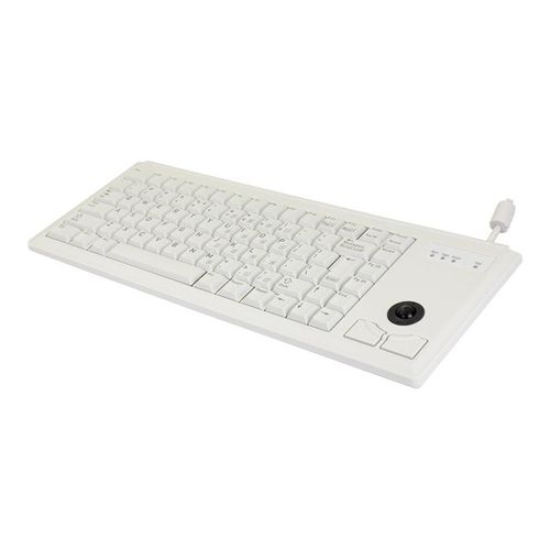CHERRY ML4420 - Clavier - USB - US - gris clair