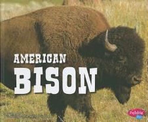 American Bison