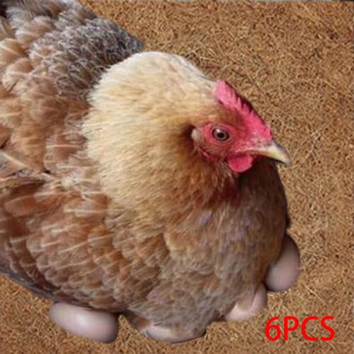 Coussinets De Nid Réutilisables En Fiber De Coco, 6 Pièces, Pour Volaille Artificielle, Pour Le Jardinage De La Poule