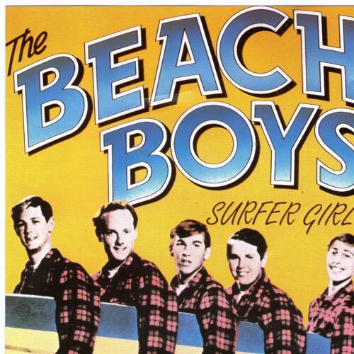 The Beach Boys - Surfer Girl - Cd Rare