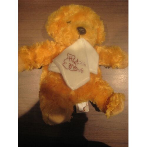 Doudou Ours Et Son Mouchoir Histoire D'ours