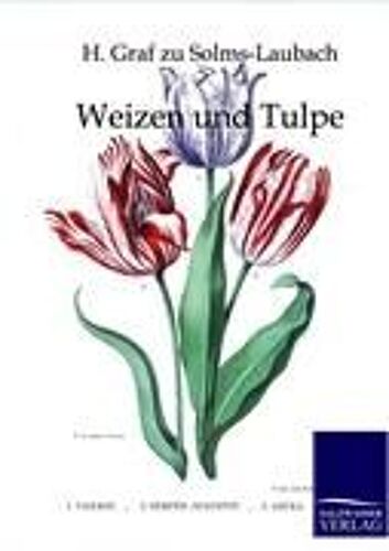 Weizen Und Tulpe