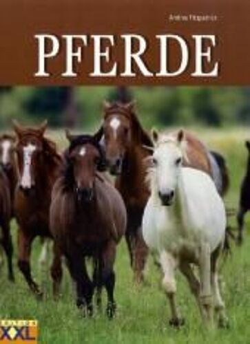 Pferde