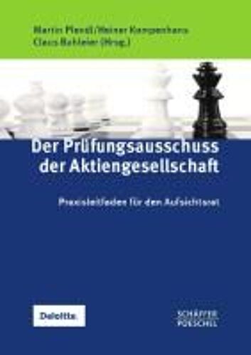 Der Prüfungsausschuss Der Aktiengesellschaft
