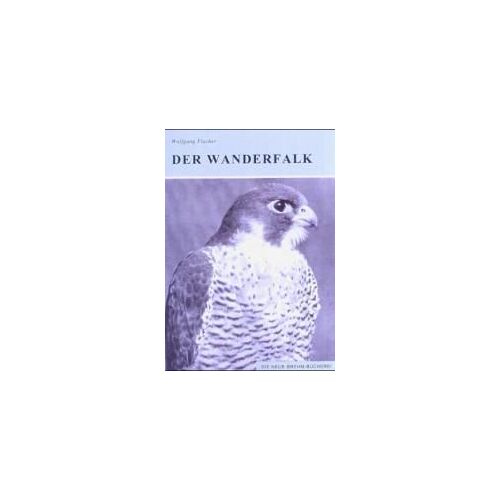 Der Wanderfalk