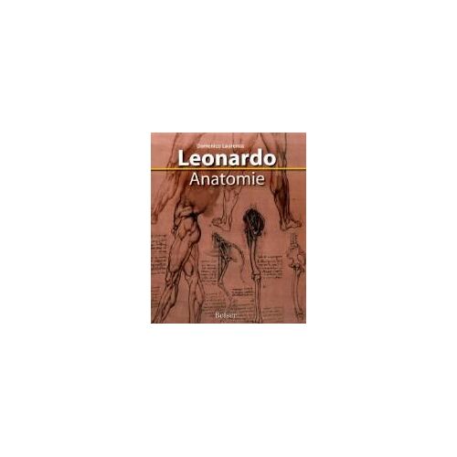Leonardo Anatomie