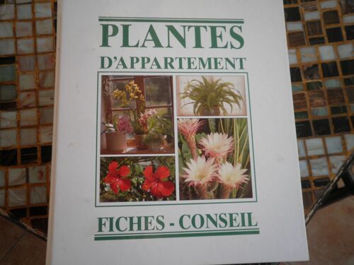 Fiches Conseil Plantes D'appartement