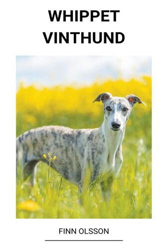 Whippet (Vinthund)