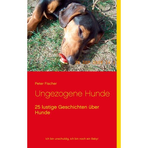 Ungezogene Hunde