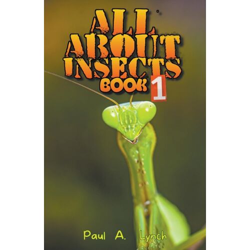 All About Insects
