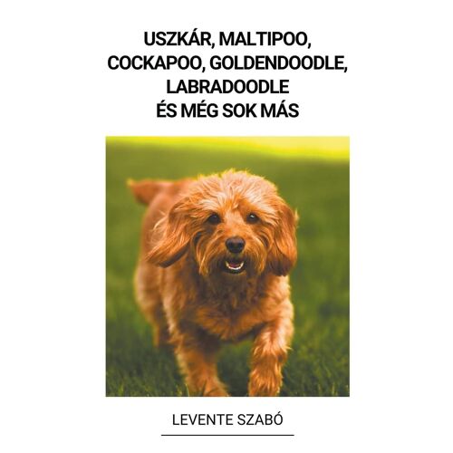 Uszkár, Maltipoo, Cockapoo, Goldendoodle, Labradoodle És Még Sok Más