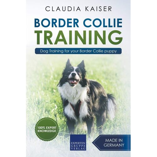 Border Collie Training - Dog Training For Your Border Collie Puppy