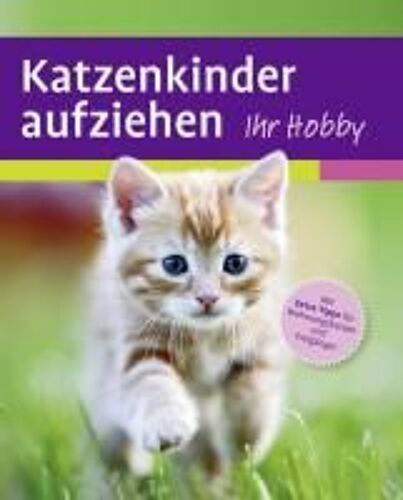 Katzenkinder Aufziehen